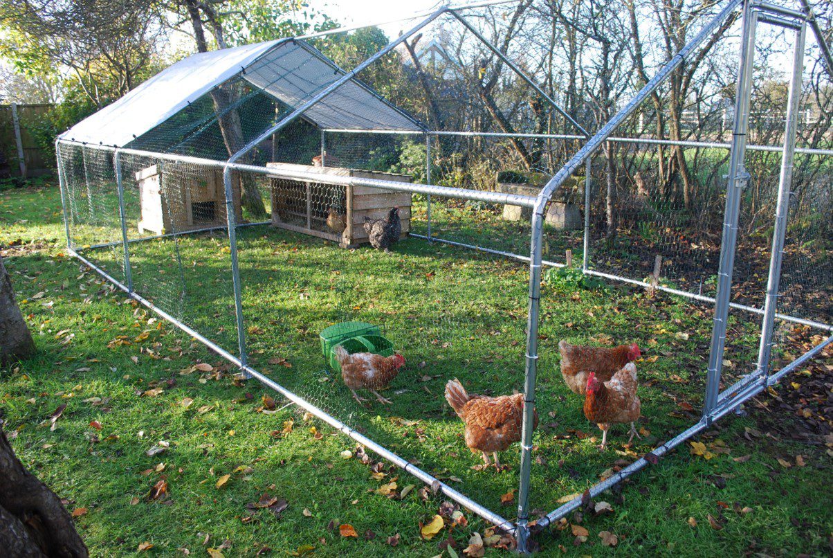 Why use a chicken run? Alphapet®